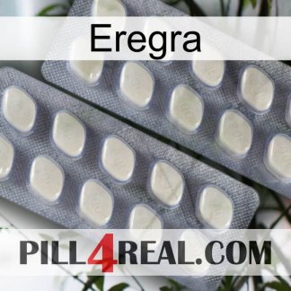 Eregra 07